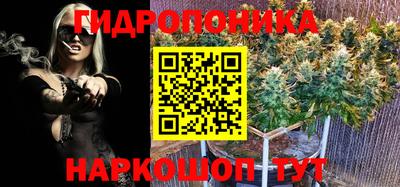 эйфоретик Татарск