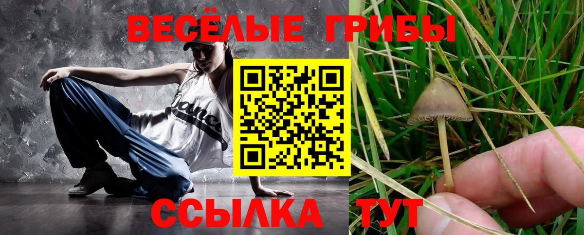 Галлюциногенные грибы MAGIC MUSHROOMS  Вход с VPN  Минусинск 