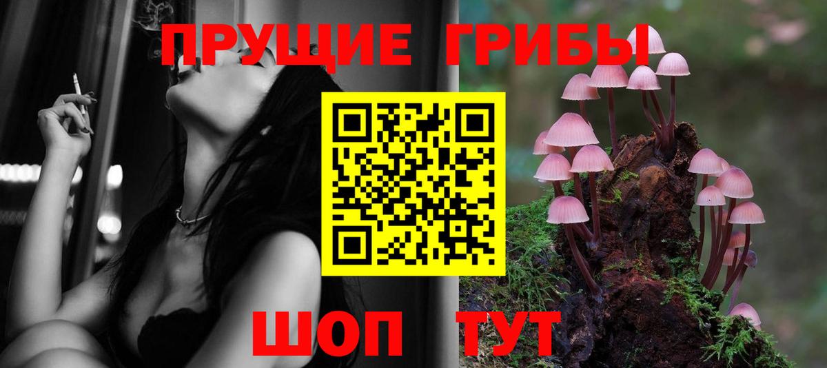 Псилоцибиновые грибы GOLDEN TEACHER Минусинск